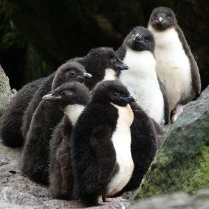 Meet your Posher, Caitlyn